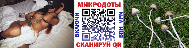 Псилоцибиновые грибы MAGIC MUSHROOMS  где купить наркотик  Ачинск 
